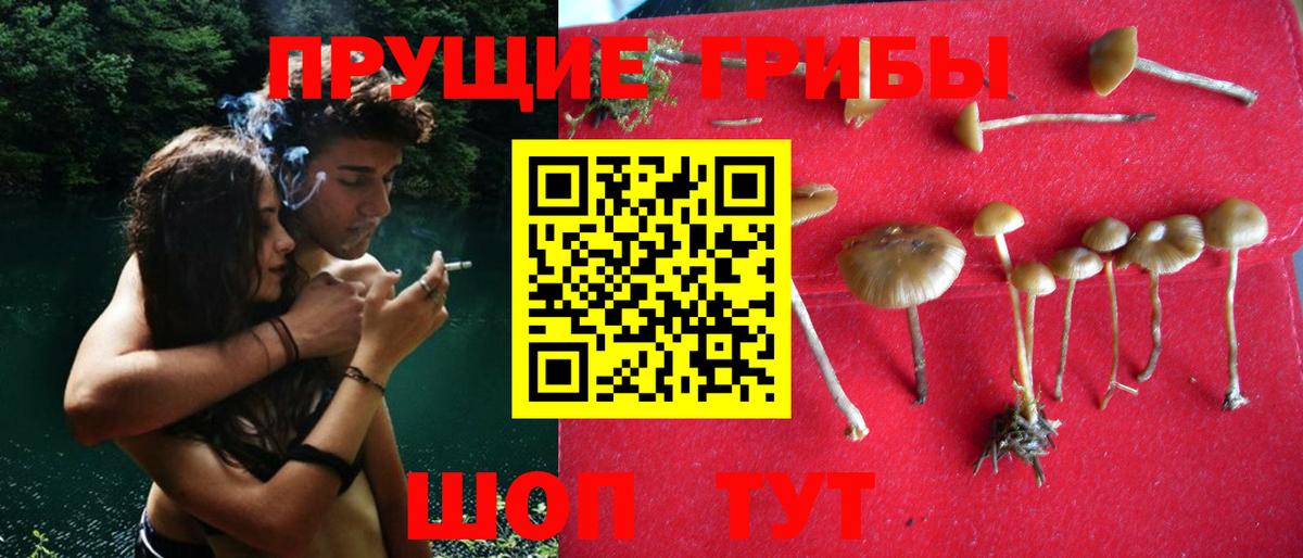 Урюпинск  Псилоцибиновые грибы Magic Shrooms  Псилоцибиновые грибы Psilocybe  Вход с VPN 